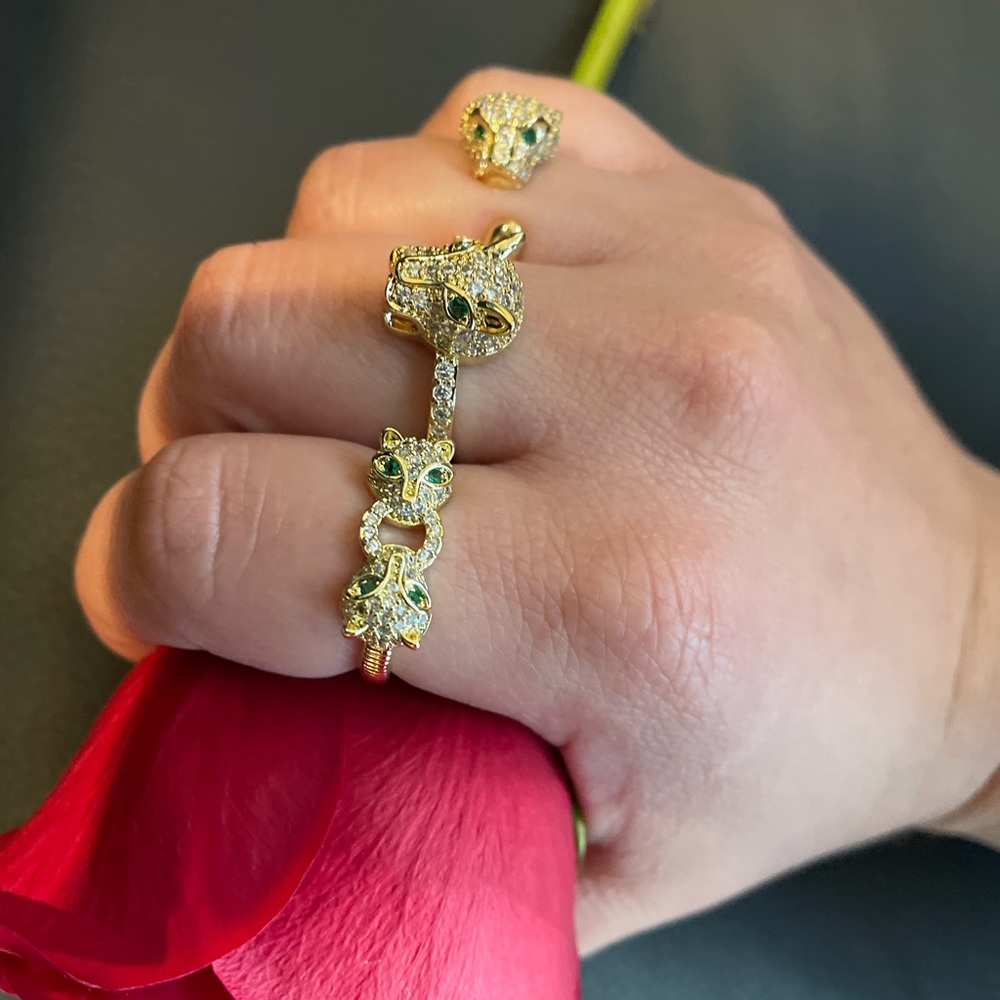 Set of tiger rings